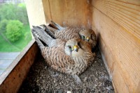 /album/fotogalerie/holky-sedi-spolu-2-jpg/